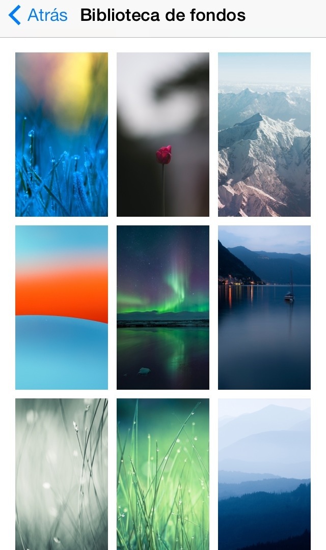 20140317-021815 p.m..jpg