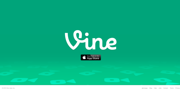 vine_co