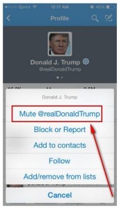 twitter-prueba-caracteristica-ios-que-permite-L-wOZP6n