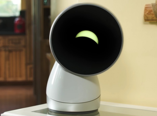 jibo-principal-1938